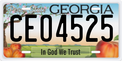 GA license plate CEO4525