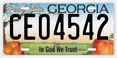 GA license plate CEO4542