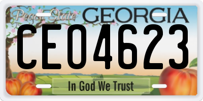 GA license plate CEO4623