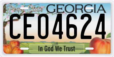 GA license plate CEO4624