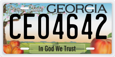 GA license plate CEO4642