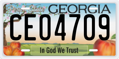 GA license plate CEO4709
