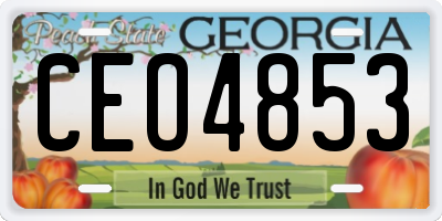 GA license plate CEO4853