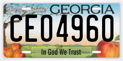 GA license plate CEO4960