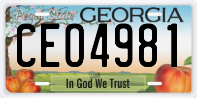 GA license plate CEO4981