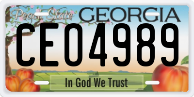 GA license plate CEO4989