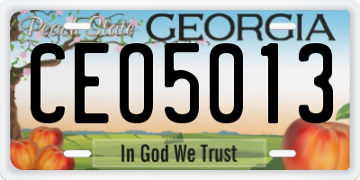 GA license plate CEO5013