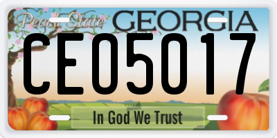 GA license plate CEO5017