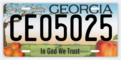 GA license plate CEO5025