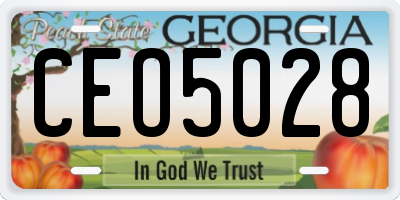 GA license plate CEO5028