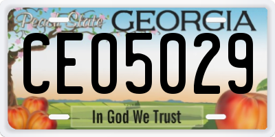 GA license plate CEO5029