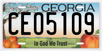 GA license plate CEO5109