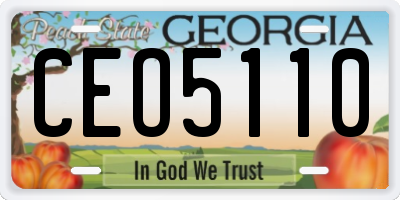 GA license plate CEO5110