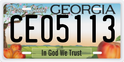 GA license plate CEO5113