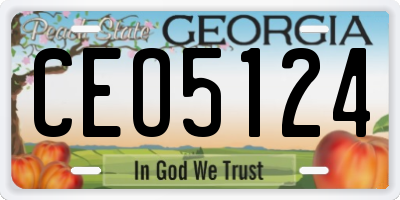 GA license plate CEO5124