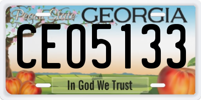 GA license plate CEO5133