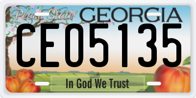 GA license plate CEO5135