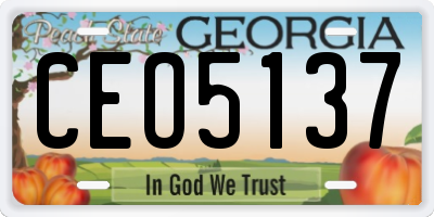 GA license plate CEO5137