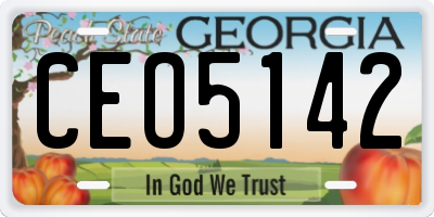GA license plate CEO5142