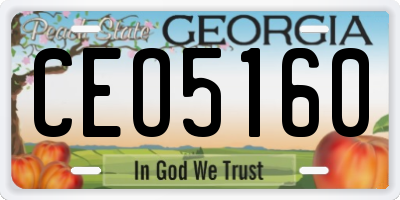 GA license plate CEO5160