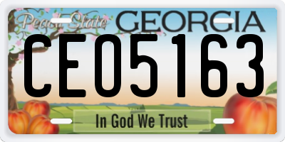 GA license plate CEO5163