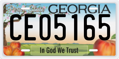 GA license plate CEO5165