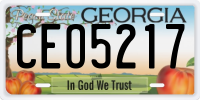 GA license plate CEO5217