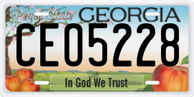 GA license plate CEO5228
