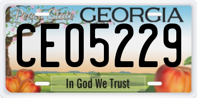 GA license plate CEO5229