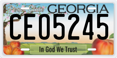 GA license plate CEO5245