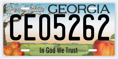 GA license plate CEO5262