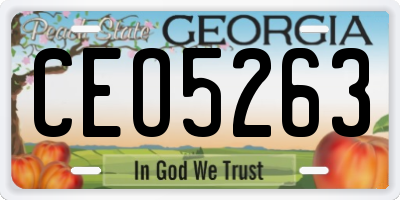 GA license plate CEO5263
