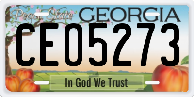 GA license plate CEO5273