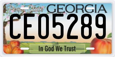 GA license plate CEO5289