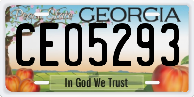 GA license plate CEO5293