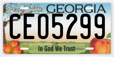 GA license plate CEO5299