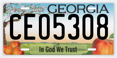 GA license plate CEO5308