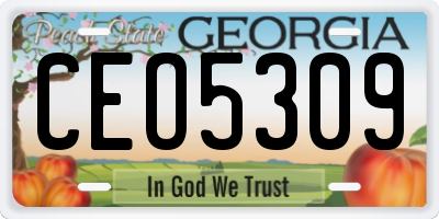 GA license plate CEO5309