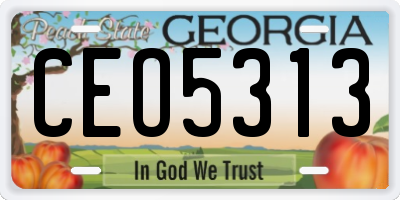 GA license plate CEO5313