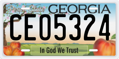 GA license plate CEO5324