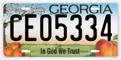 GA license plate CEO5334