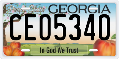 GA license plate CEO5340