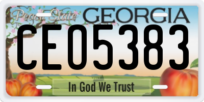 GA license plate CEO5383