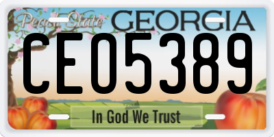 GA license plate CEO5389