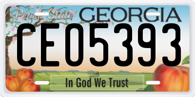 GA license plate CEO5393
