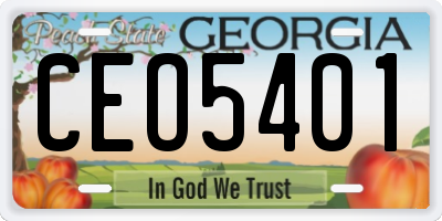 GA license plate CEO5401
