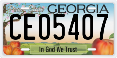 GA license plate CEO5407