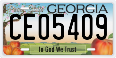GA license plate CEO5409