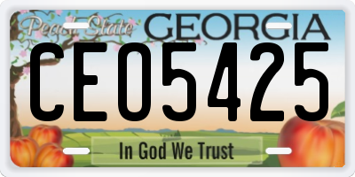 GA license plate CEO5425