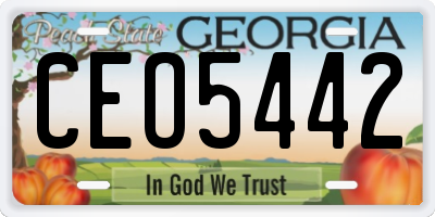 GA license plate CEO5442